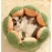 Cactus petal shaped pet nest keeps warm in winter, cat nest sleeps soft, dog nest dog mat