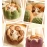 Cactus petal shaped pet nest keeps warm in winter, cat nest sleeps soft, dog nest dog mat